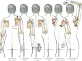 Illustrazione dell'anatomia della scapola e dei movimenti del braccio: elevazione, depressione, adduzione, abduzione, rotazione verso il basso e verso l'alto.