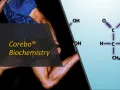 Atleta in corsa, con formula chimica dell'acido lattico. Corebo Biochemistry aiuta a prevenire acido lattico.