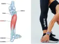 Illustrazione anatomica del soleo e donna che esegue stretching per il soleo.