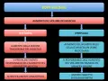 Diagramma sul bodybuilding: ipertrofia (aumento sezione muscolo, scientificamente provato) e iperplasia (aumento fibre muscolari, meno provato).