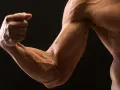 Muscoloso avambraccio in supinazione, con vene evidenti che disegnano la forma dei muscoli.