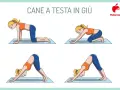 Sequenza di posizioni yoga per il **cool down allenamento**: dalla quadrupedia alla posizione del cane a testa in giù, per rilassare il corpo.