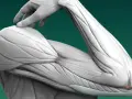 Dettaglio anatomico dei muscoli e delle ossa degli arti superiori, con un dito che tocca la spalla.