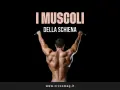 Uomo con schiena scolpita, che si allena alla sbarra. I muscoli della schiena sono ben definiti.