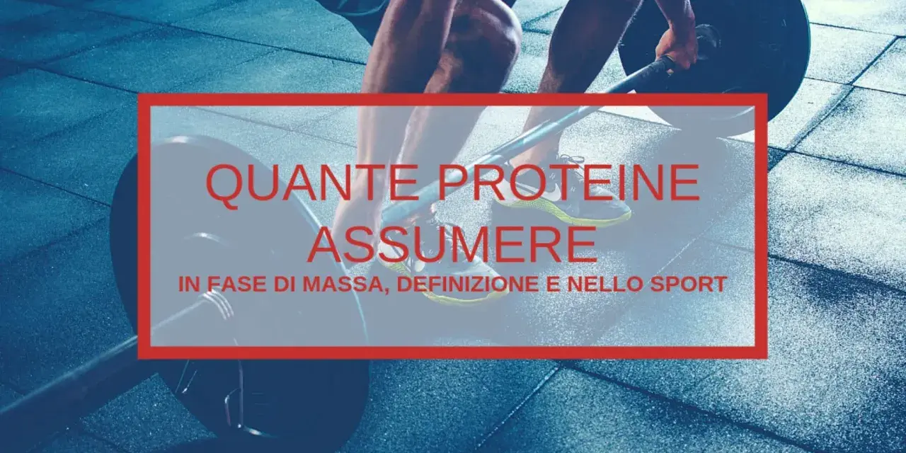 Allenamento e alimentazione: quante proteine per kg sono ideali in fase di massa, definizione e sport?