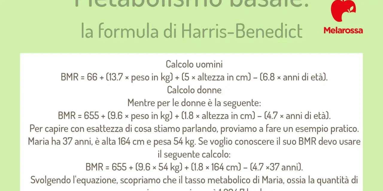 La formula di Harris-Benedict per calcolare il metabolismo basale (BMR) con un esempio pratico per una donna.