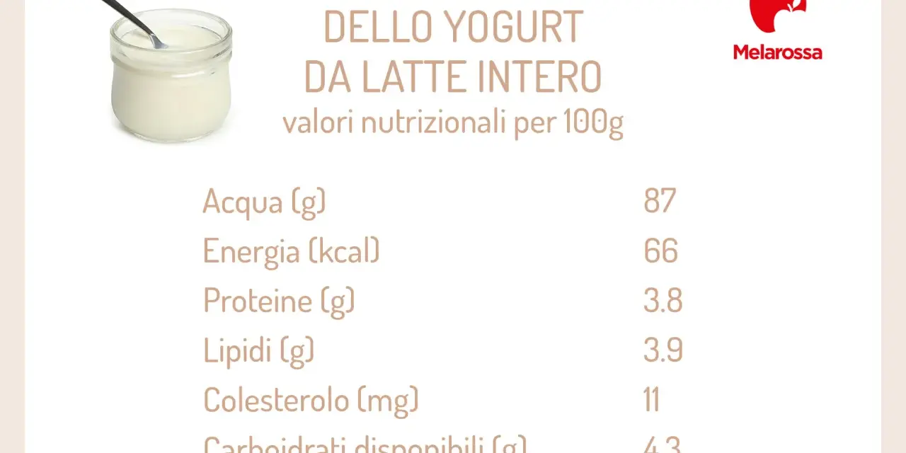 Composizione chimica dello yogurt da latte intero, con valori nutrizionali per 100g. Utile per capire quanti yogurt si possono mangiare al giorno.