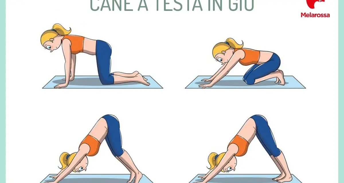 Sequenza di posizioni yoga per il **cool down allenamento**: dalla quadrupedia alla posizione del cane a testa in giù, per rilassare il corpo.