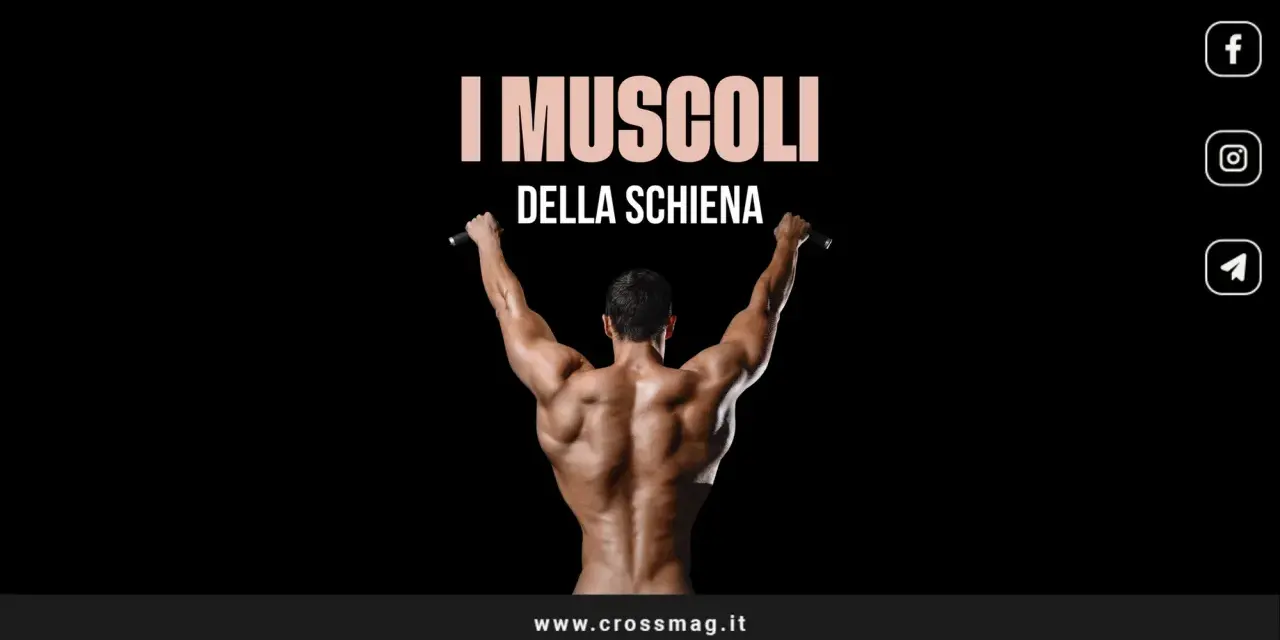 Uomo con schiena scolpita, che si allena alla sbarra. I muscoli della schiena sono ben definiti.