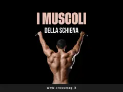 Uomo con schiena scolpita, che si allena alla sbarra. I muscoli della schiena sono ben definiti.