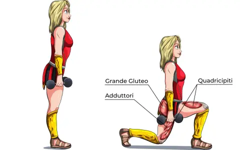 Affondi indietro: illustrazione anatomica che mostra i muscoli coinvolti, tra cui grande gluteo, adduttori e quadricipiti.