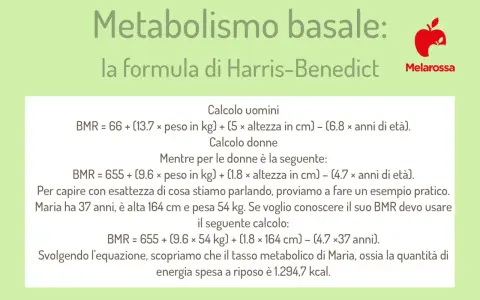 La formula di Harris-Benedict per calcolare il metabolismo basale (BMR) con un esempio pratico per una donna.
