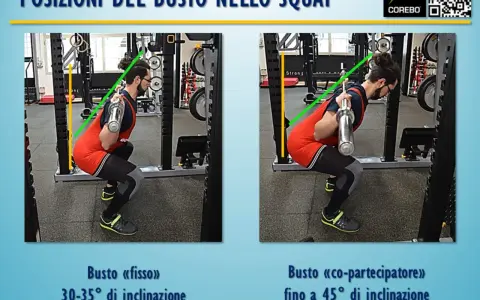 Uomo esegue un mezzo squat con bilanciere. Due posizioni del busto a confronto: una più eretta (30-35°) e una più inclinata (fino a 45°).
