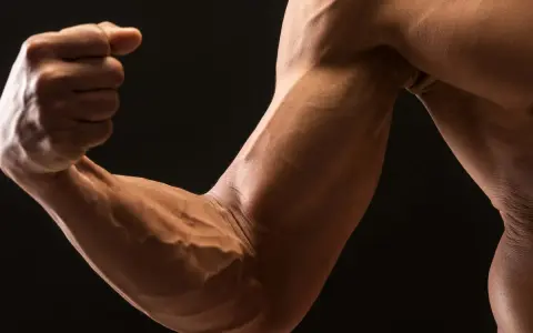 Muscoloso avambraccio in supinazione, con vene evidenti che disegnano la forma dei muscoli.