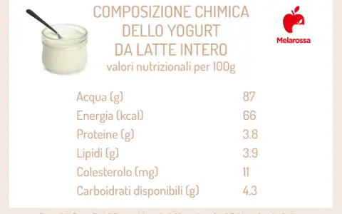 Composizione chimica dello yogurt da latte intero, con valori nutrizionali per 100g. Utile per capire quanti yogurt si possono mangiare al giorno.
