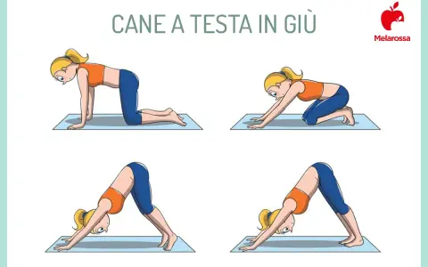 Sequenza di posizioni yoga per il **cool down allenamento**: dalla quadrupedia alla posizione del cane a testa in giù, per rilassare il corpo.