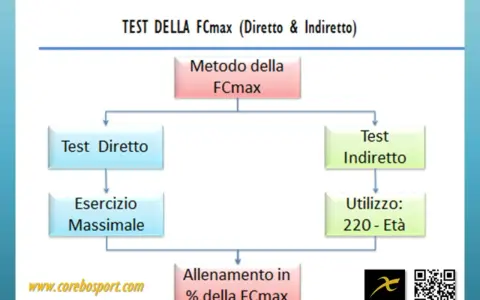 Diagramma del test della FCmax, diretto e indiretto, per l'allenamento.