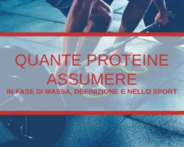 Allenamento e alimentazione: quante proteine per kg sono ideali in fase di massa, definizione e sport?