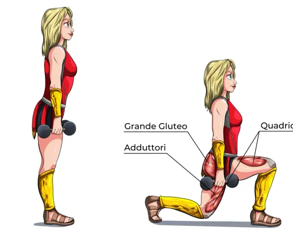 Affondi indietro: illustrazione anatomica che mostra i muscoli coinvolti, tra cui grande gluteo, adduttori e quadricipiti.