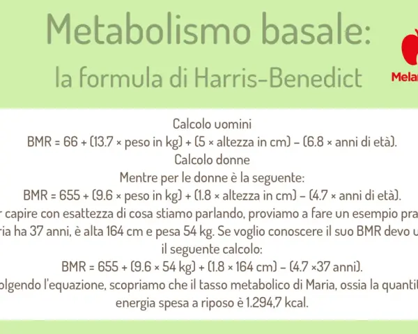 La formula di Harris-Benedict per calcolare il metabolismo basale (BMR) con un esempio pratico per una donna.