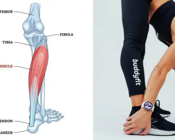Illustrazione anatomica del soleo e donna che esegue stretching per il soleo.