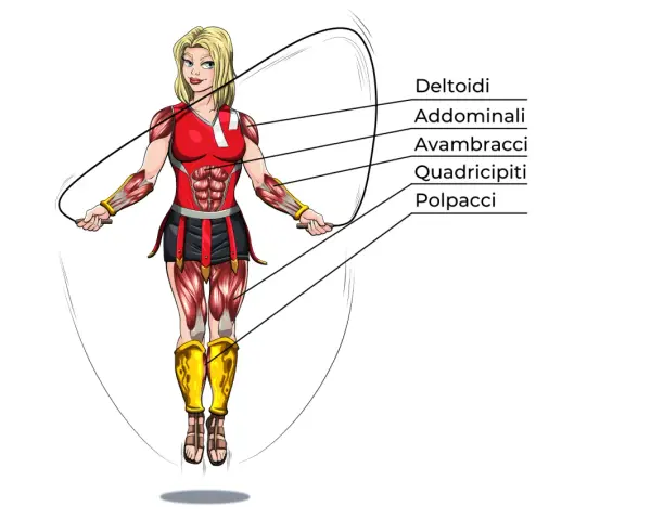 Illustrazione anatomica di una donna che fa salto con la corda, evidenziando i muscoli coinvolti: deltoidi, addominali, avambracci, quadricipiti e polpacci.