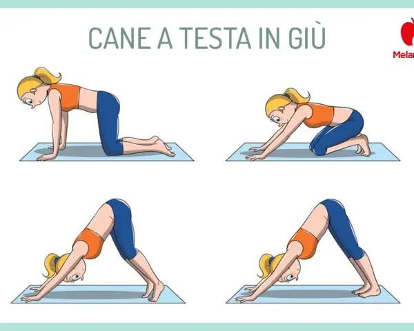 Sequenza di posizioni yoga per il **cool down allenamento**: dalla quadrupedia alla posizione del cane a testa in giù, per rilassare il corpo.