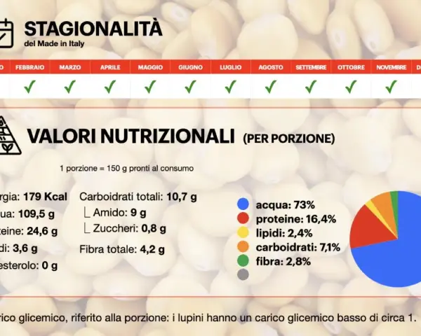 Lupini: legumi con più proteine (24,6g/porzione), stagionalità e valori nutrizionali.
