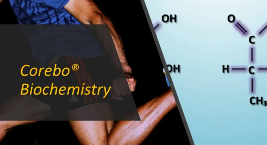 Atleta in corsa, con formula chimica dell'acido lattico. Corebo Biochemistry aiuta a prevenire acido lattico.