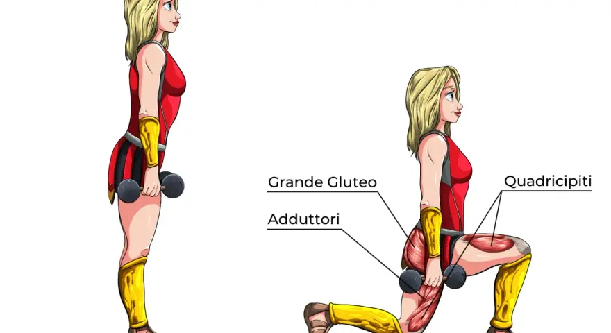 Affondi indietro: illustrazione anatomica che mostra i muscoli coinvolti, tra cui grande gluteo, adduttori e quadricipiti.