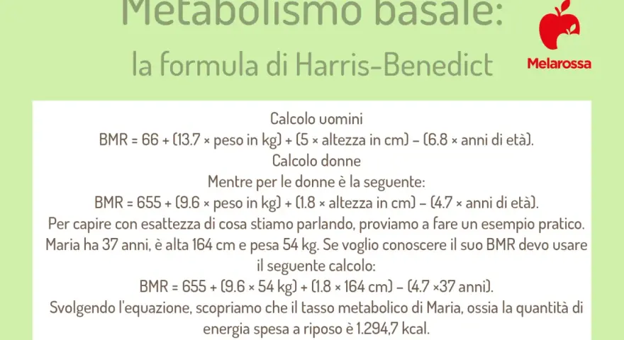La formula di Harris-Benedict per calcolare il metabolismo basale (BMR) con un esempio pratico per una donna.