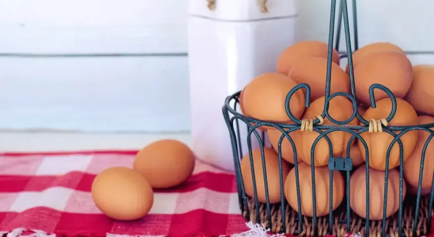 Cesto pieno di uova marroni, pronte per mangiare uova tutti i giorni. Due uova su una tovaglia a quadri rossa.