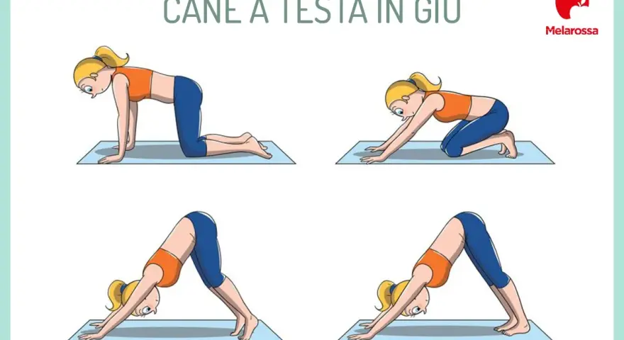 Sequenza di posizioni yoga per il **cool down allenamento**: dalla quadrupedia alla posizione del cane a testa in giù, per rilassare il corpo.