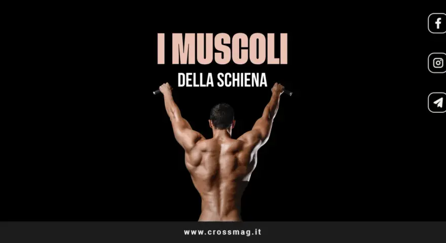 Uomo con schiena scolpita, che si allena alla sbarra. I muscoli della schiena sono ben definiti.