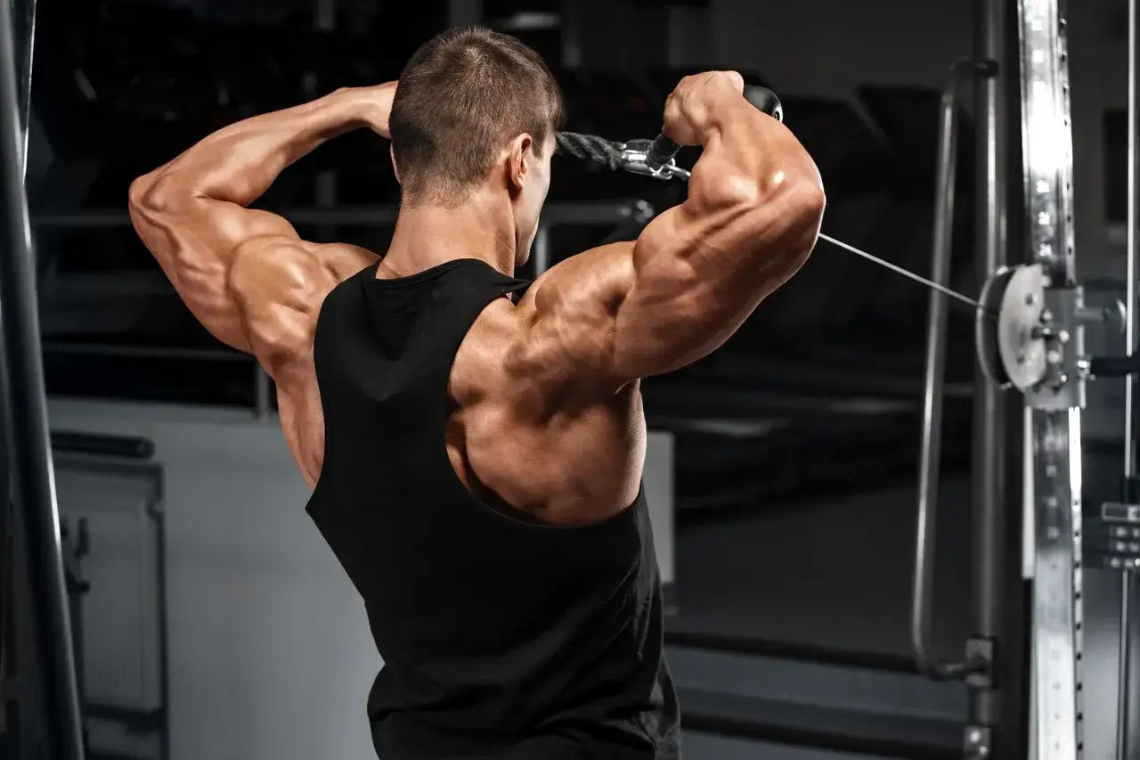 Uomo in palestra esegue un esercizio per le spalle, con le braccia alzate a 90 gradi, mostrando muscoli definiti.