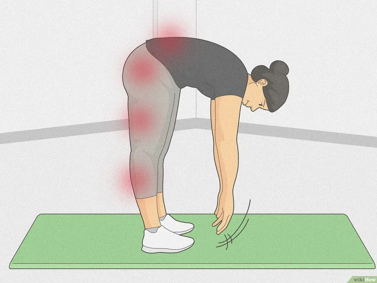 Donna si piega in avanti, cercando di toccare le punte dei piedi. Le aree rosse indicano i benefici di questo stretching per la schiena e le gambe.
