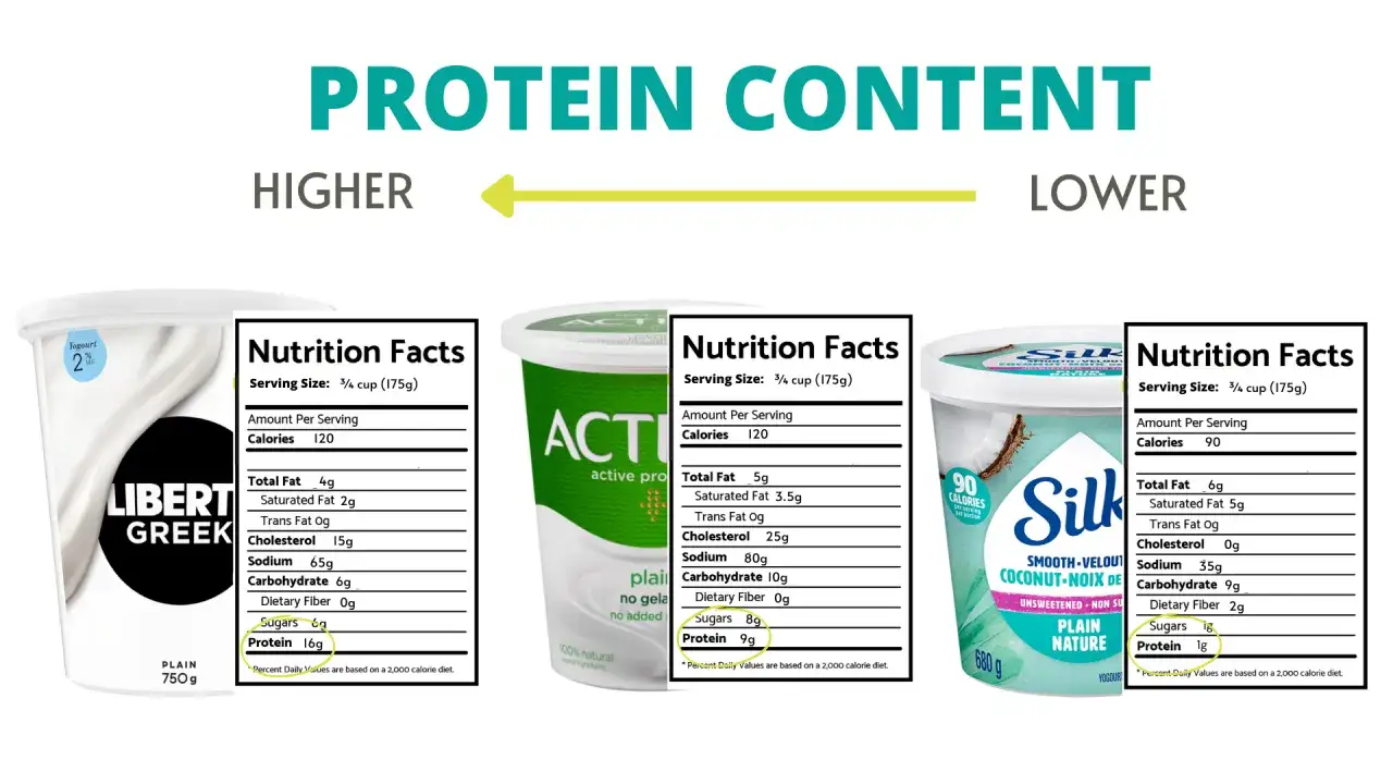 Confronto contenuto proteico: yogurt greco (16g), attivo (9g), seta (1g). Quanti yogurt si possono mangiare al giorno dipende dal tuo fabbisogno proteico.