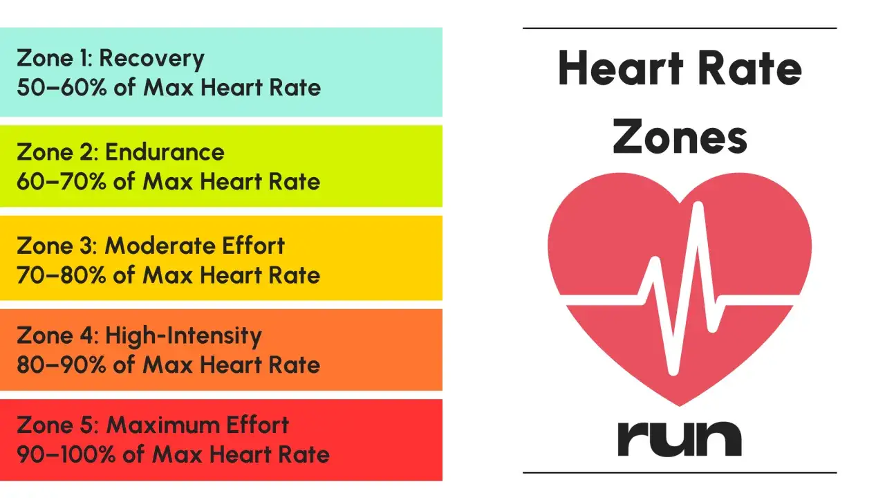 Zone di frequenza cardiaca per allenamento: recupero, endurance, moderato, alta intensit&agrave; e massimo sforzo. Evita il test sovrallenamento monitorando le zone.