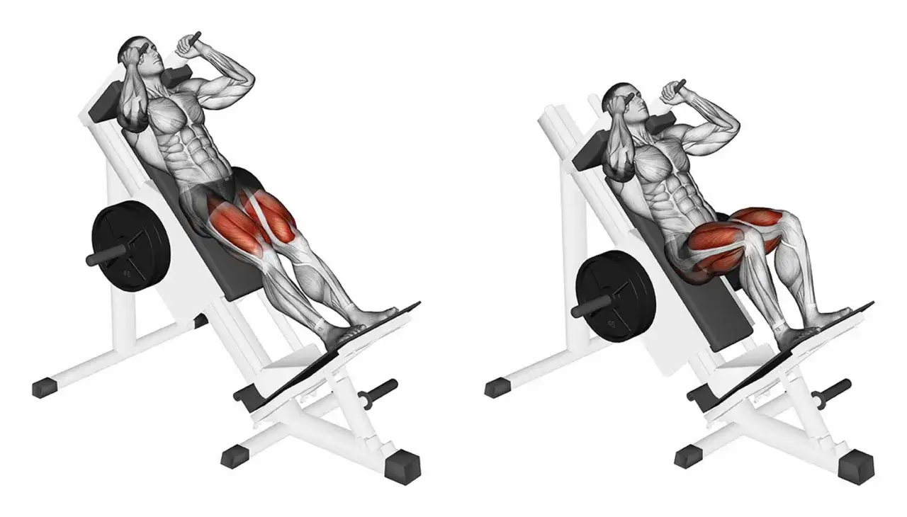 Esercizi quadricipiti corpo libero: uomo su hack squat machine, muscoli delle gambe evidenziati in rosso.