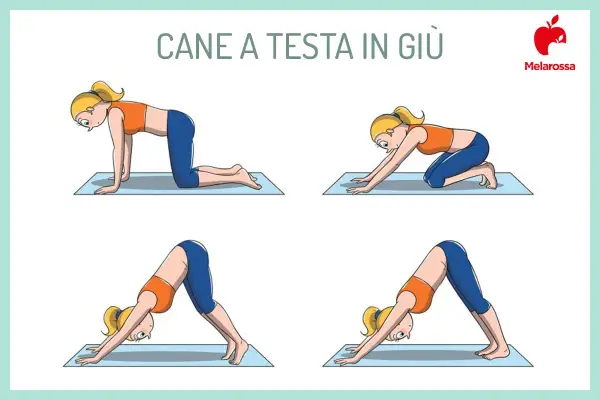 Sequenza di posizioni yoga per il **cool down allenamento**: dalla quadrupedia alla posizione del cane a testa in giù, per rilassare il corpo.